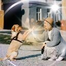 愛犬と飼い主の健康を、心・体・意識から整える専門家の講座の風景