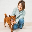 ペットアロマで飼い主さんと愛犬の健康サポートの講座の風景