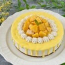 やさしさと美味しさ、どちらも叶えるロースイーツの講座の風景