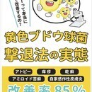 Kindle出版～あなたの最適解を一緒に見つける～の講座の風景