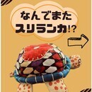 Kindle出版～あなたの最適解を一緒に見つける～の講座の風景