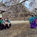 女性だけの楽しい剣舞殺陣教室 の講座の風景