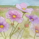 大人だから表現出来る水彩画、色鉛筆画講座の講座の風景