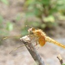いいなを見つけるチカラを育てる！こども写真教室の講座の風景
