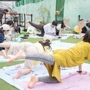 ゆるヨガで美姿勢！膝　腰痛肩こり解消　下半身やせ　の講座の風景