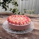 「ゼロから学べる発酵Rawスイーツ教室」の講座の風景