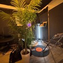声が変わる！声で変わる！良い声は人生を豊かにする！の講座の風景