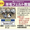 基本の基からお手伝い！ちょっとしたコツを教えます。の講座の風景