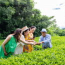 老若男女の温故知新を育む古民家交流放送室「Biz参道メディアサテライト」の開催する講座の風景