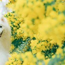 初心者歓迎◎あなたの“撮りたい”を叶えるカメラ講座の講座の風景