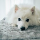 初心者歓迎◎あなたの“撮りたい”を叶えるカメラ講座の講座の風景