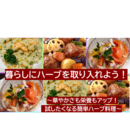 腸活×薬草×陰陽五行と暮らす毎日を気軽にする講座の講座の風景