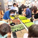 DIYスタジアム（ユニディ狛江店）の開催する講座の風景