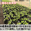 🔮AIと魔法の力で集客に悩む占い師さんをサポート🔮の講座の風景