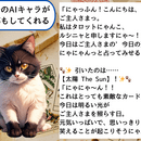 🔮AIと魔法の力で集客に悩む占い師さんをサポート🔮の講座の風景