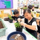 DIYスタジアム（ユニディ狛江店）の開催する講座の風景