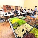 DIYスタジアム（ユニディ狛江店）の開催する講座の風景