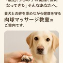 自分も、ペットも。 おうちで整える“癒しのケア”の講座の風景