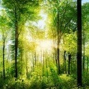 叡智にアクセスして「本が20分で読めるようになる」の講座の風景