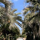 くり返す悩みを根本解決するメンタルコーチングの講座の風景