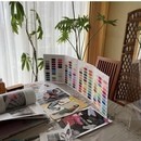色で輝く！あなたの魅力を引き出すカラーアナリストの講座の風景