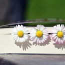 10分の学びを、明日の一歩へ！の講座の風景