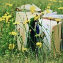 10分の学びを、明日の一歩へ！の講座の風景