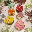 素敵なお花のスイーツをいっしょに作りましょう！の講座の風景