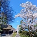 体を動かすキッカケづくり　山歩きインストラクターの講座の風景