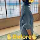 親子の身体✕心に働きかける神経発達セラピストの講座の風景