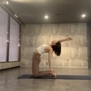 【運動初心者の方向け】簡単お家トレーニング✨の講座の風景