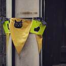 スマホで気軽に一眼レフ風に撮れるようになります！の講座の風景