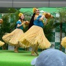 ハワイのクムの教えをそのままお伝えします。の講座の風景
