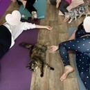 猫ヨガもオンラインも 癒しのマインドフルネスの講座の風景