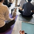 猫ヨガもオンラインも 癒しのマインドフルネスの講座の風景