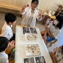 自由研究のテーマ設定からレポートまでフルサポートの講座の風景