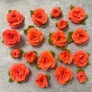 素敵なお花のスイーツをいっしょに作りましょう！の講座の風景
