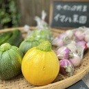 有機農家さん直送の湘南野菜を使った料理教室の講座の風景