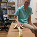 結果の出せる整体なら「かじた式骨盤整体スクール」の講座の風景