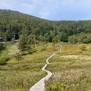 体を動かすキッカケづくり　山歩きインストラクターの講座の風景