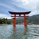 初心者占い師養成 在宅 副業 心理 ココナラ電話占の講座の風景