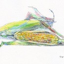 短時間であなたらしく★淡彩スケッチの講座の風景