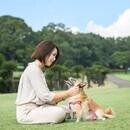 ペットアロマで愛犬との暮らしを快適に！の講座の風景