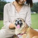 ペットアロマで愛犬との暮らしを快適に！の講座の風景