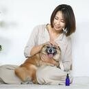 ペットアロマで愛犬との暮らしを快適に！の講座の風景