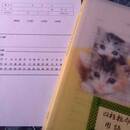 命式から人生を紐解き実践力を養う力が身につく講座の講座の風景