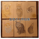 あなたの手から生まれる、やさしい猫の物語の講座の風景