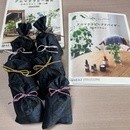 香り×心×科学で導く五感のスクールの講座の風景