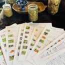 インドで学んだアーユルヴェーダと薬草オイル講座の講座の風景