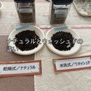 簡単・新鮮・美味しいコーヒーに包まれる毎日を！の講座の風景